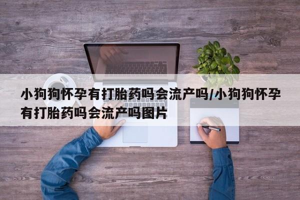 打胎药微信小狗狗怀孕有打胎药吗会流产吗/小狗狗怀孕有打胎药吗会流产吗图片
