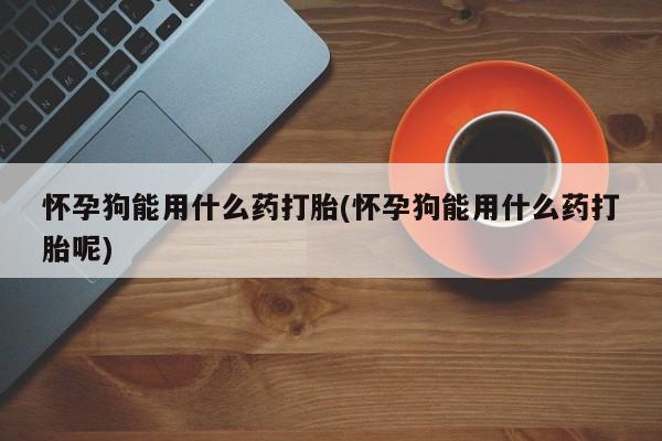 打胎药微信怀孕狗能用什么药打胎(怀孕狗能用什么药打胎呢)